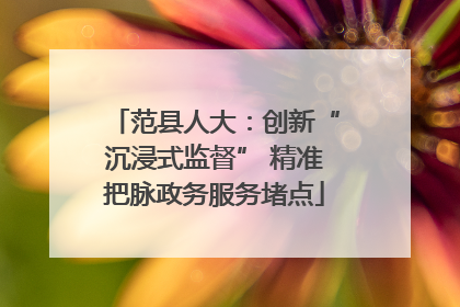 范县人大：创新“沉浸式监督” 精准把脉政务服务堵点