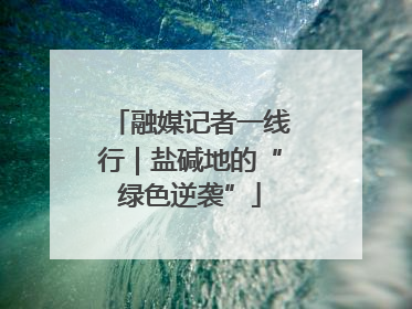 融媒记者一线行｜盐碱地的“绿色逆袭”