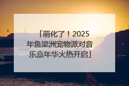 萌化了！2025年鱼梁洲宠物派对音乐嘉年华火热开启