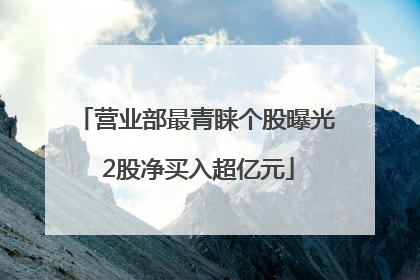 营业部最青睐个股曝光 2股净买入超亿元