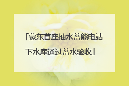 蒙东首座抽水蓄能电站下水库通过蓄水验收
