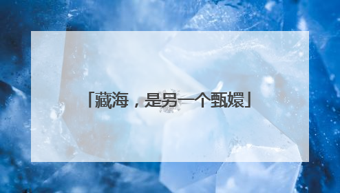 藏海，是另一个甄嬛