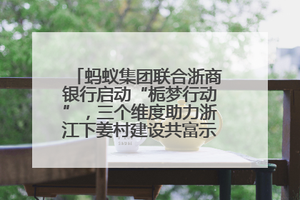 蚂蚁集团联合浙商银行启动“栀梦行动”，三个维度助力浙江下姜村建设共富示范区示范点