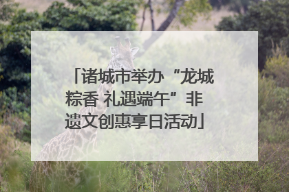诸城市举办“龙城粽香 礼遇端午”非遗文创惠享日活动