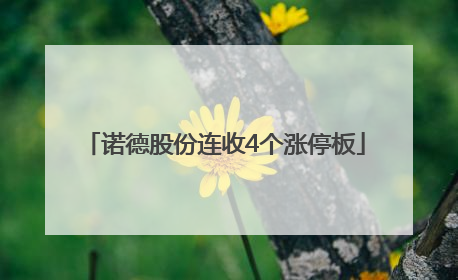 诺德股份连收4个涨停板