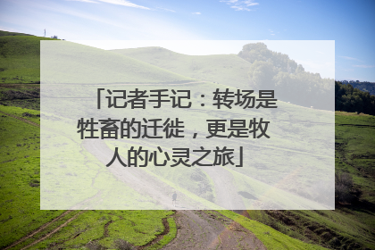 记者手记：转场是牲畜的迁徙，更是牧人的心灵之旅