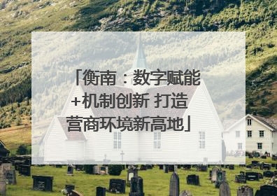 衡南：数字赋能+机制创新 打造营商环境新高地
