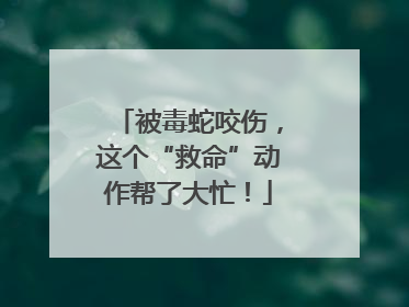 被毒蛇咬伤，这个“救命”动作帮了大忙！