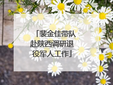 裴金佳带队赴陕西调研退役军人工作