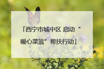 西宁市城中区 启动“暖心菜篮”帮扶行动