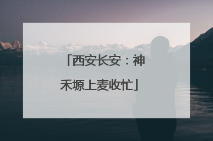 西安长安：神禾塬上麦收忙