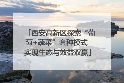 西安高新区探索“葡萄+蔬菜”套种模式 实现生态与效益双赢