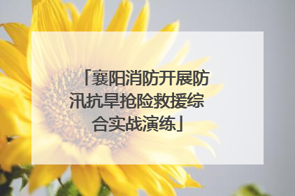 襄阳消防开展防汛抗旱抢险救援综合实战演练