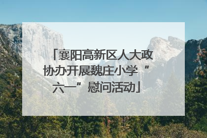 襄阳高新区人大政协办开展魏庄小学“六一”慰问活动