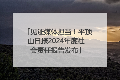 见证媒体担当！平顶山日报2024年度社会责任报告发布