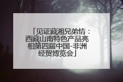 见证藏湘兄弟情：西藏山南特色产品亮相第四届中国-非洲经贸博览会
