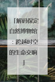 解码保定自然博物馆：跨越时空的生命交响