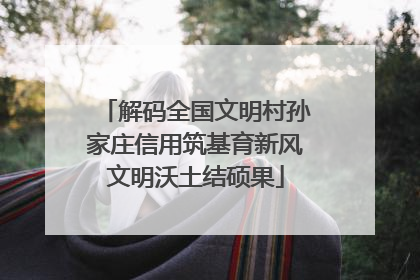 解码全国文明村孙家庄信用筑基育新风文明沃土结硕果