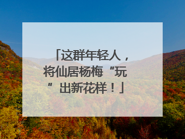 这群年轻人，将仙居杨梅“玩”出新花样！