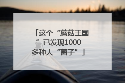 这个“蘑菇王国”已发现1000多种大“菌子”