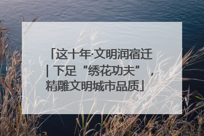 这十年·文明润宿迁｜下足“绣花功夫”，精雕文明城市品质