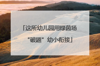 这所幼儿园用绿茵场“破题”幼小衔接