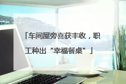 车间屋旁喜获丰收，职工种出“幸福餐桌”