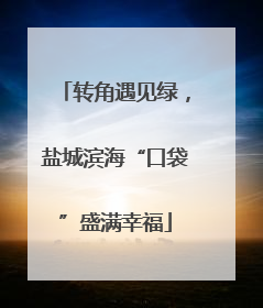 转角遇见绿，盐城滨海“口袋”盛满幸福