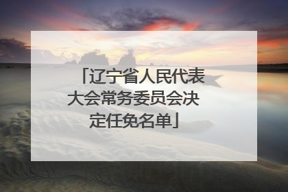 辽宁省人民代表大会常务委员会决定任免名单