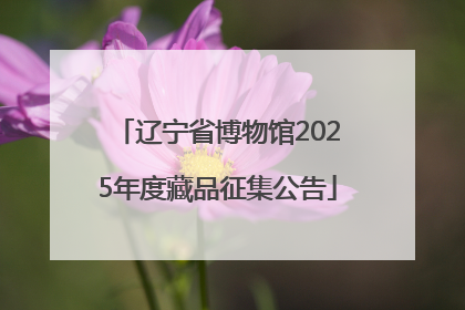 辽宁省博物馆2025年度藏品征集公告