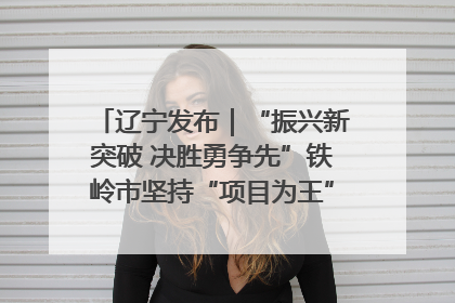 辽宁发布｜“振兴新突破 决胜勇争先”铁岭市坚持“项目为王”推进经济高质量发展