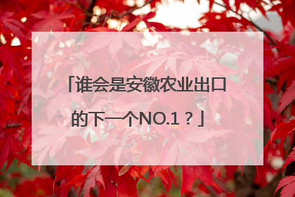 谁会是安徽农业出口的下一个NO.1？