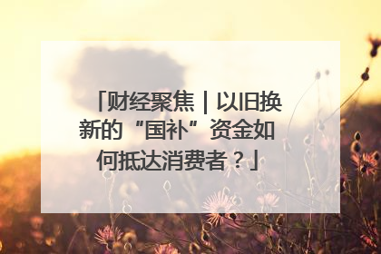 财经聚焦｜以旧换新的“国补”资金如何抵达消费者？