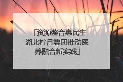 资源整合惠民生 湖北柠月集团推动医养融合新实践