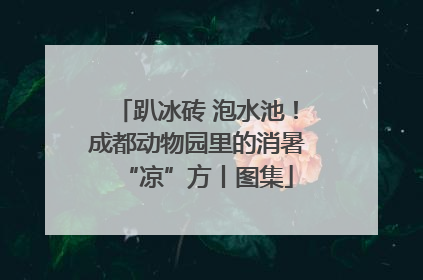 趴冰砖 泡水池！成都动物园里的消暑“凉”方丨图集