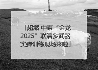 超燃 中柬“金龙-2025”联演多武器实弹训练现场来啦