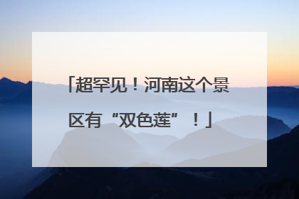 超罕见！河南这个景区有“双色莲”！