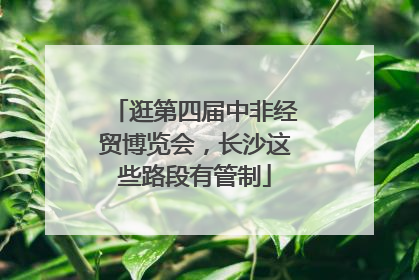 逛第四届中非经贸博览会，长沙这些路段有管制