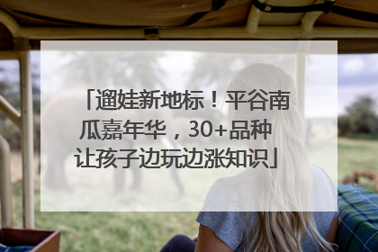遛娃新地标！平谷南瓜嘉年华，30+品种让孩子边玩边涨知识