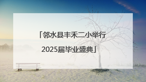邻水县丰禾二小举行2025届毕业盛典
