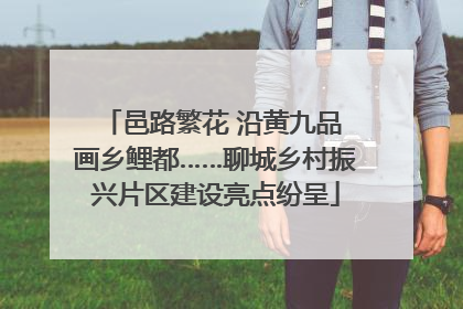 邑路繁花 沿黄九品 画乡鲤都……聊城乡村振兴片区建设亮点纷呈