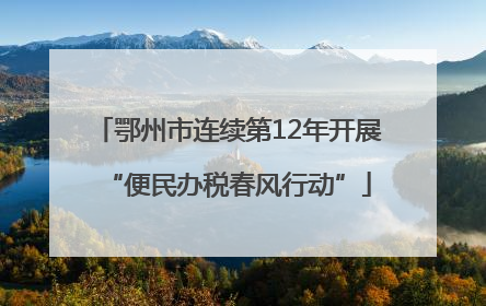 鄂州市连续第12年开展“便民办税春风行动”