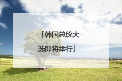 韩国总统大选即将举行