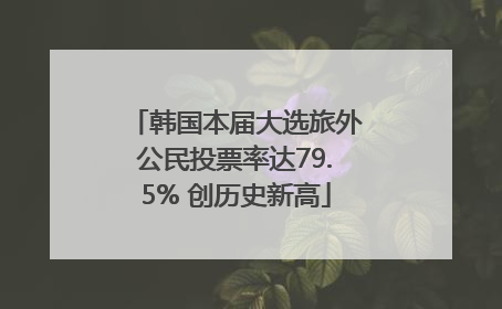 韩国本届大选旅外公民投票率达79.5% 创历史新高