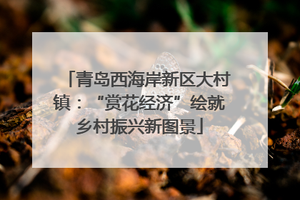 青岛西海岸新区大村镇：“赏花经济”绘就乡村振兴新图景