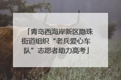 青岛西海岸新区隐珠街道组织“老兵爱心车队”志愿者助力高考
