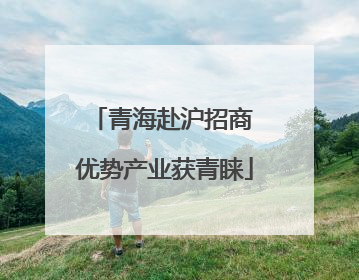 青海赴沪招商 优势产业获青睐