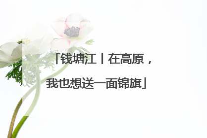 钱塘江丨在高原，我也想送一面锦旗