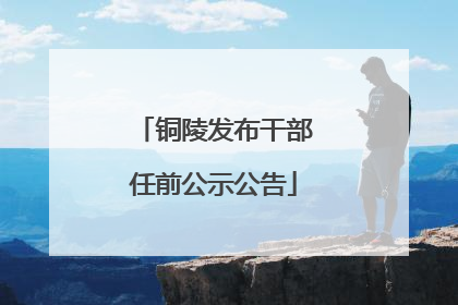 铜陵发布干部任前公示公告