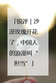 锐评｜沙漠玫瑰开花了，中国人的浪漫叫“担当”